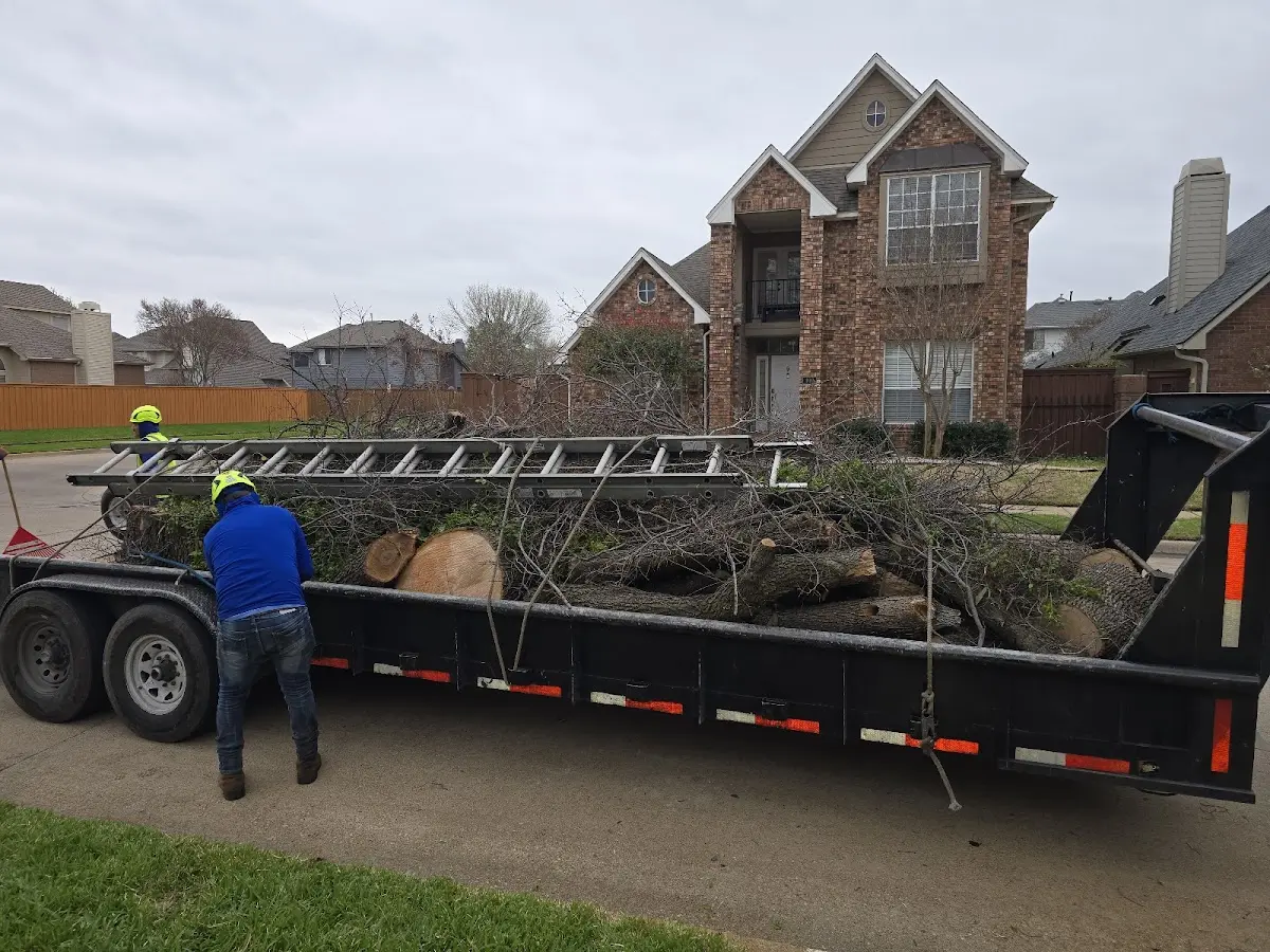 Expert Tree Removal with proper safety equipment in Stillwater